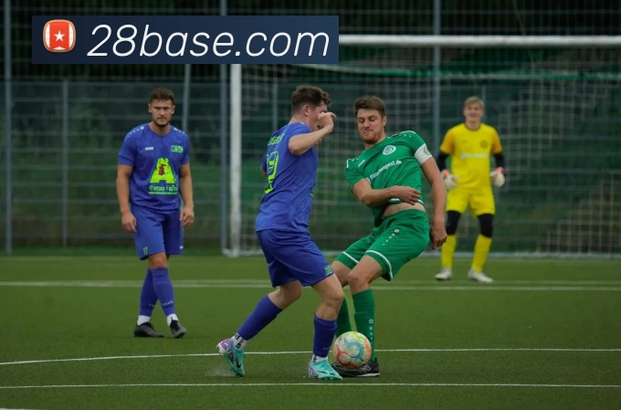 28圈官网平台生态图